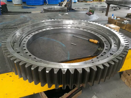 Fh Light Type Slewing Bearing for Food Machine